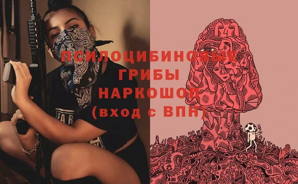 ALPHA-PVP Алексеевка
