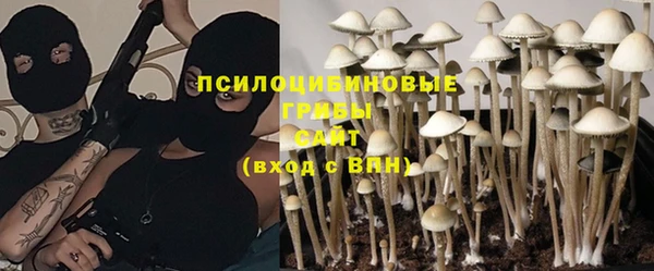 ешки Алзамай