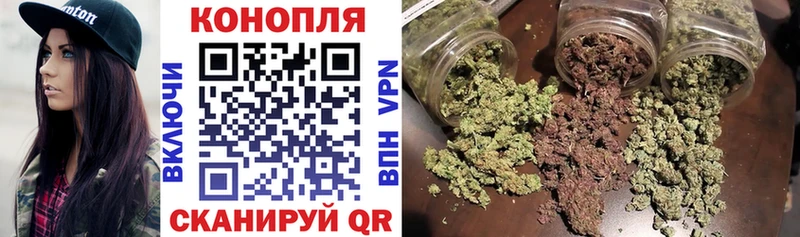 купить наркотик Петрозаводск Бошки Шишки ГИДРОПОН